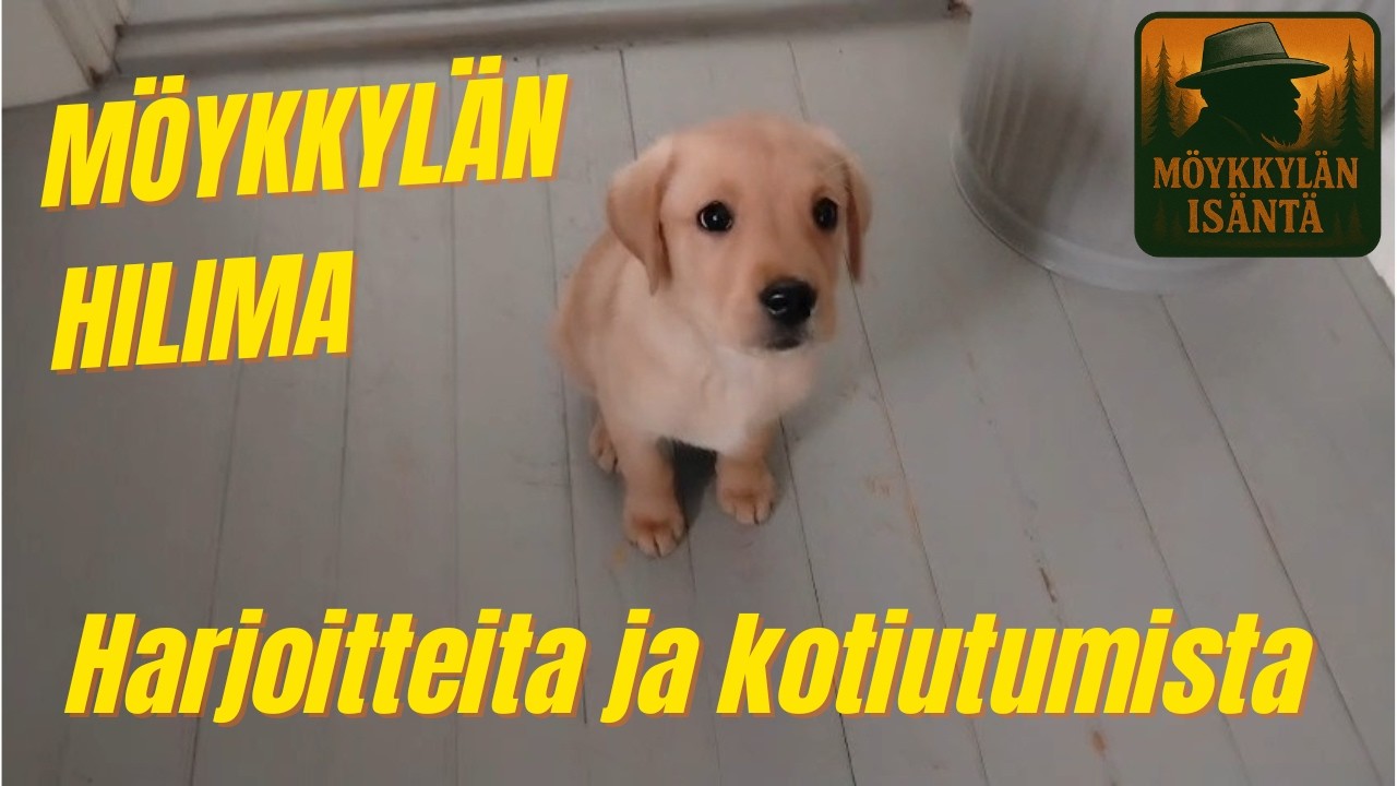 HARJOITTEITA JA KOTIUTUMISTA -  Möykkylän Hilima