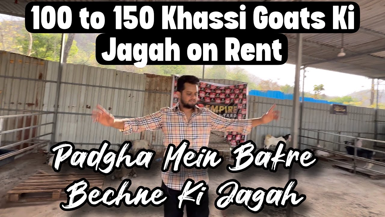 100 Khassi Goat Space Available For Rent For Bakra Eid Mandi in Padgha
