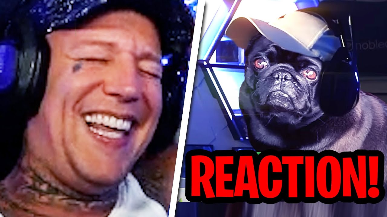 REAKTION auf Satter Hugo!😂 ES KOMMT NICHT AUF DIE GRÖẞE AN | MontanaBlack Reaktion