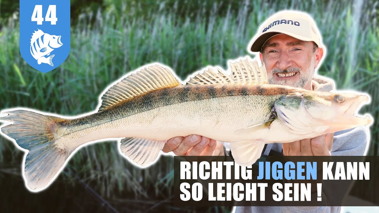 SOLID-TIP: So leicht geht ZANDER!