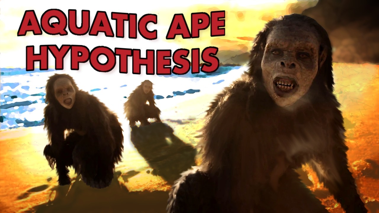 The Most Bizarre Idea in Human Evolution - The Aquatic Ape Hypothesis
