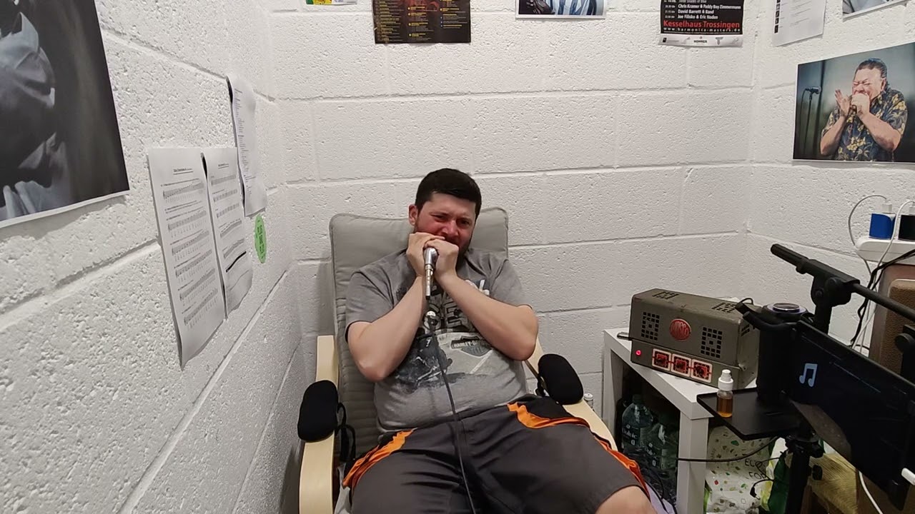 Easy - Big Walter Horton (Blues harmonica cover)