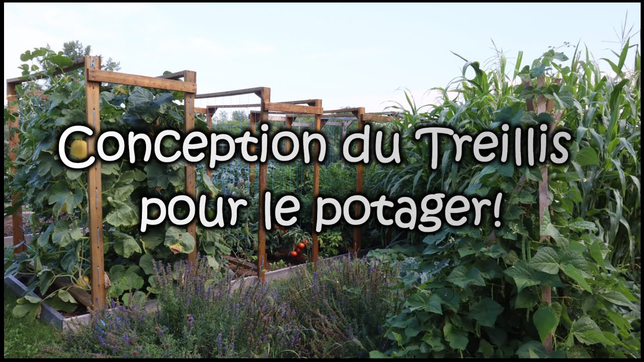 Conception du Treillis pour le potager!