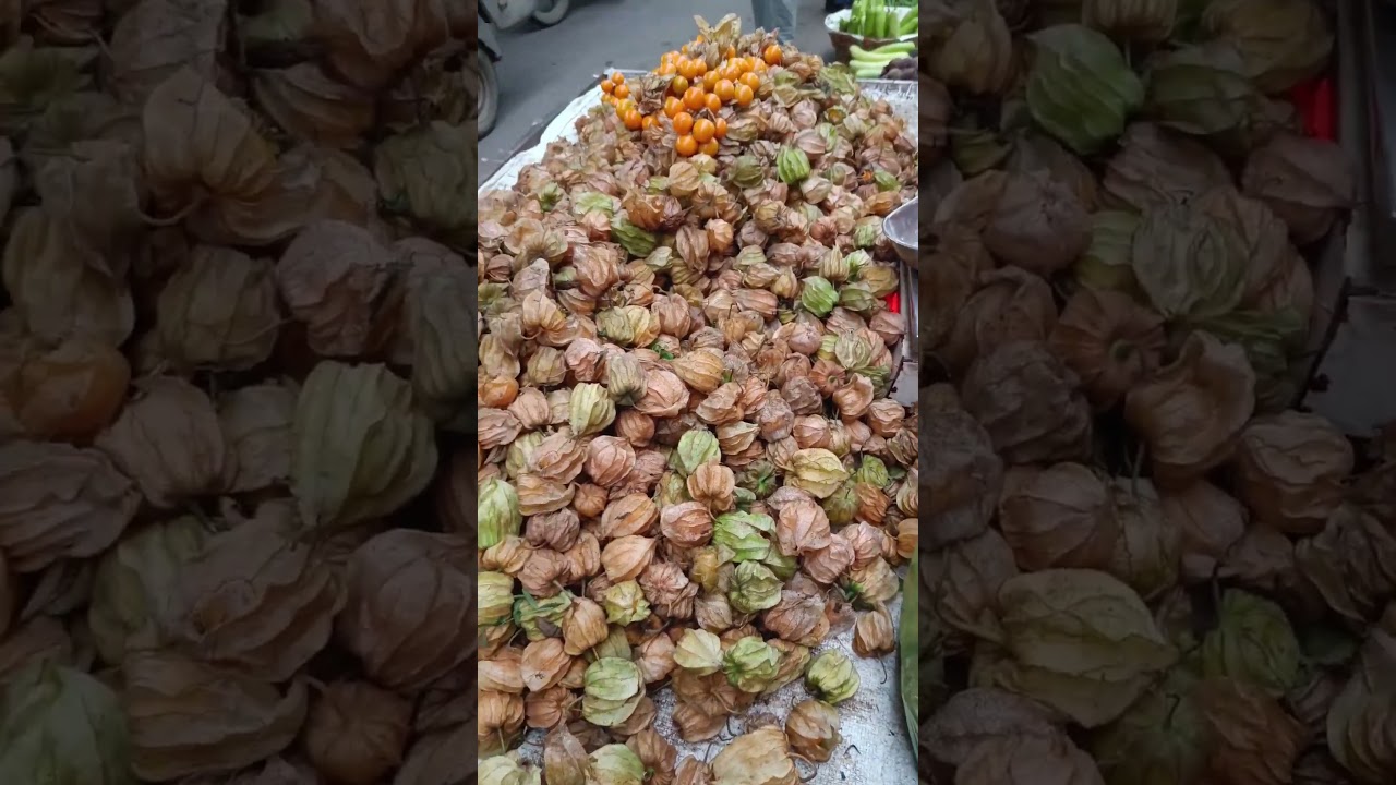Cape Gooseberry Fruit | Rasbhari Fruit | Makko #shorts