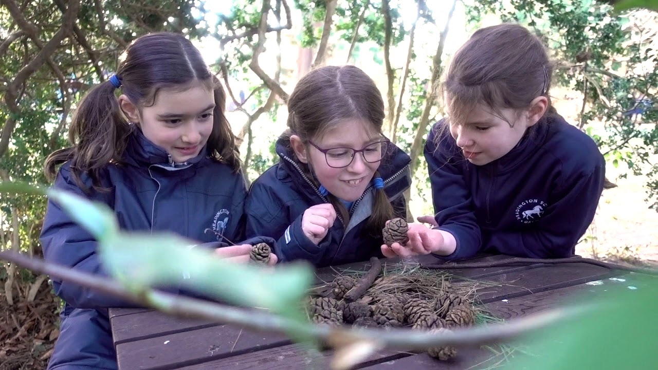 A Day in the Life of Elizabeth | Headington Prep School