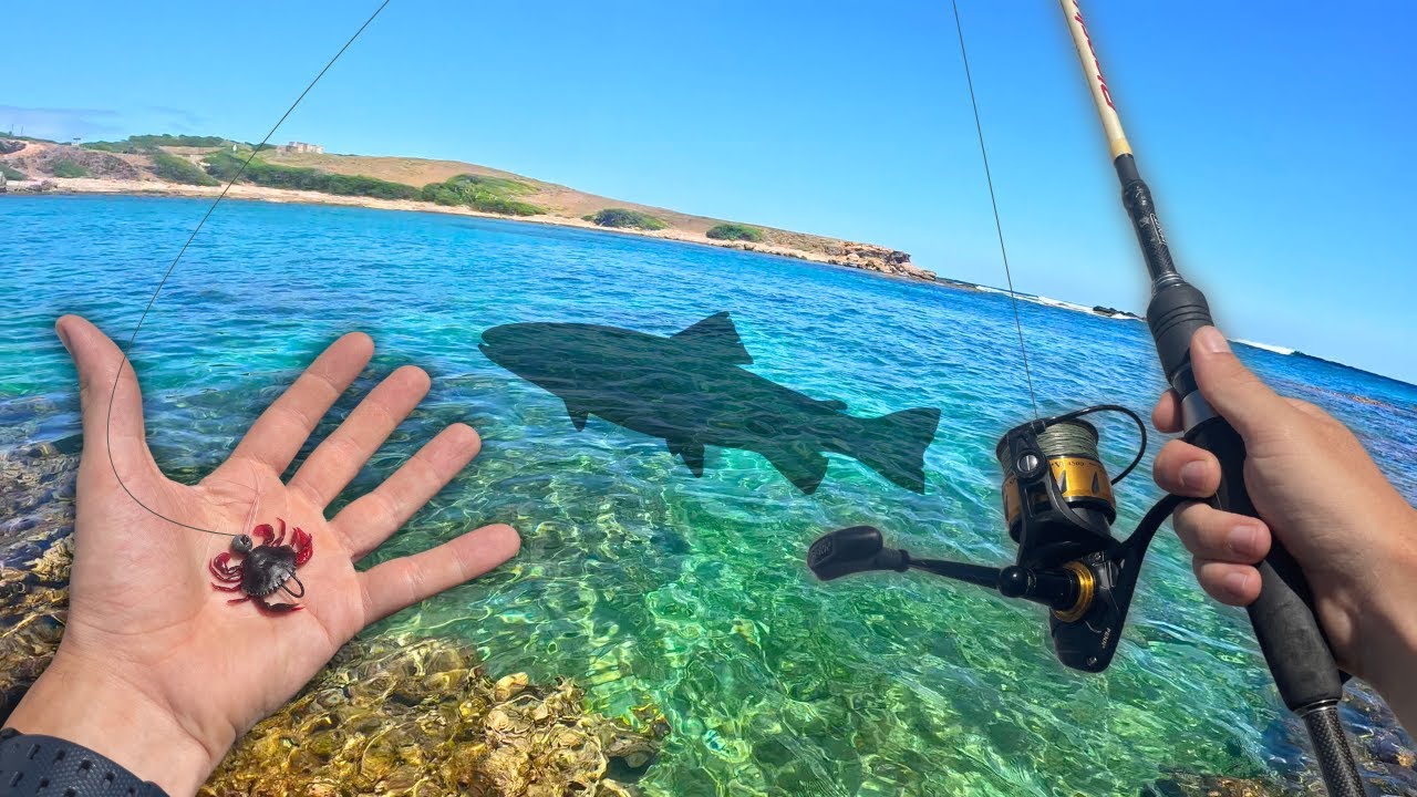 72h pour prendre un poisson LEGENDAIRE! (Partie 1) (Pêche en Guadeloupe)