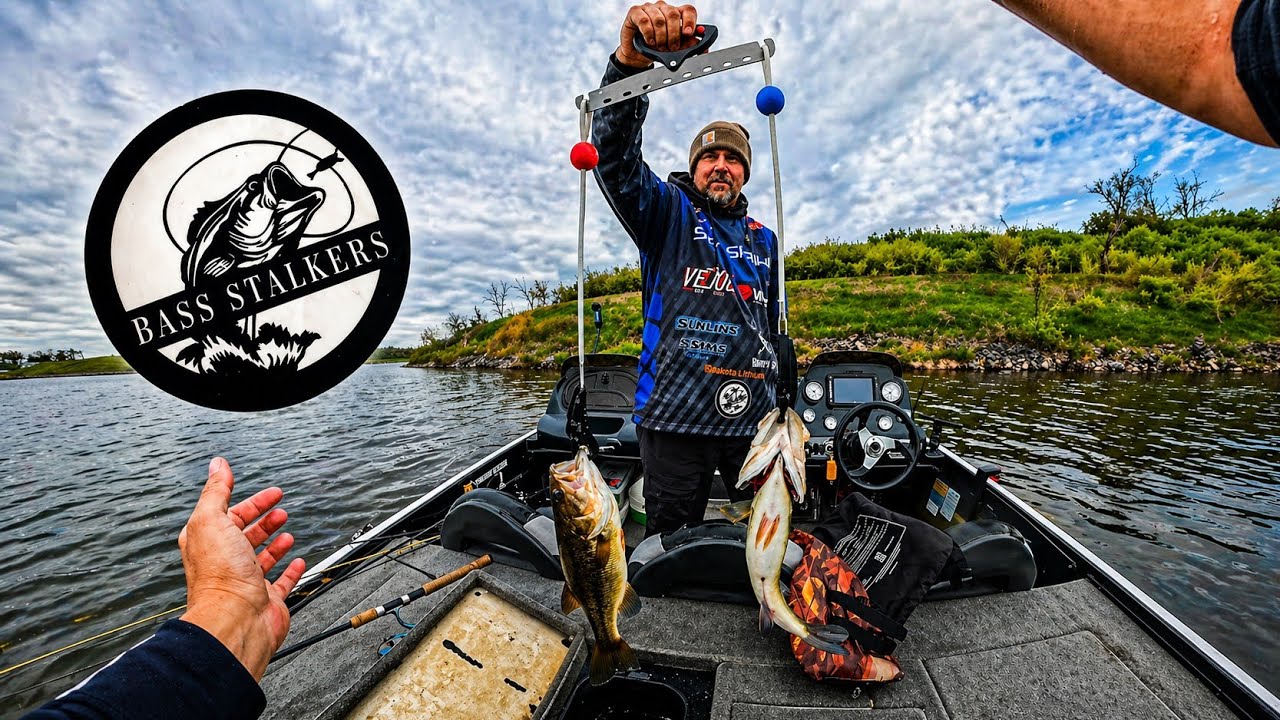 Culling our way into the money at Big Creek
