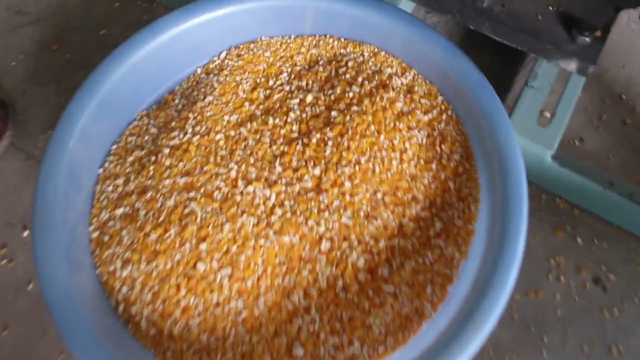 6FT-PH Corn husking and grit processing machine