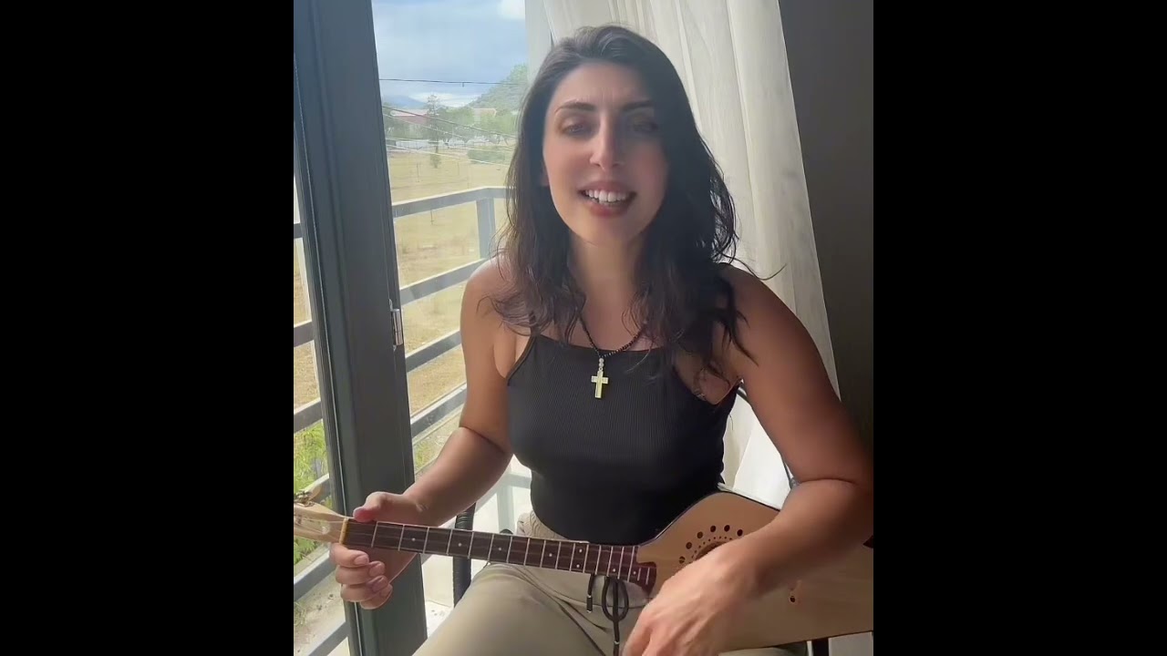 თოლიები მიფრინავენ შორიშორ / tiko khvedelidze 
