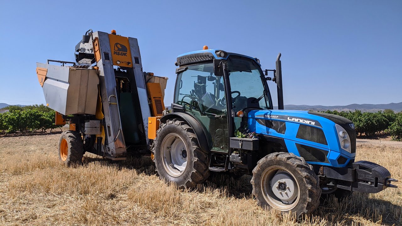 Vendimia mecanizada 2020 - D.O. Cariñena