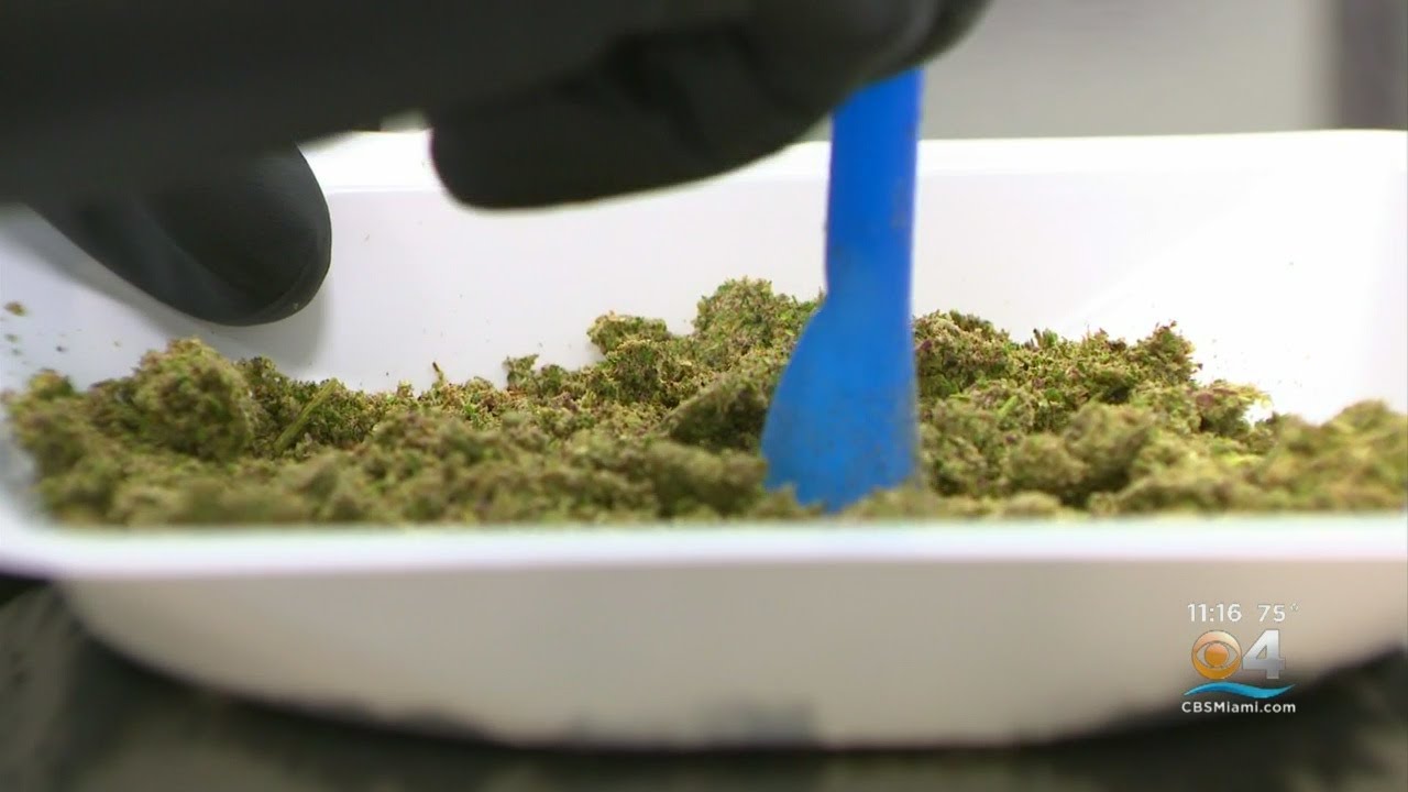 Medical Marijuana Use In Florida Spikes