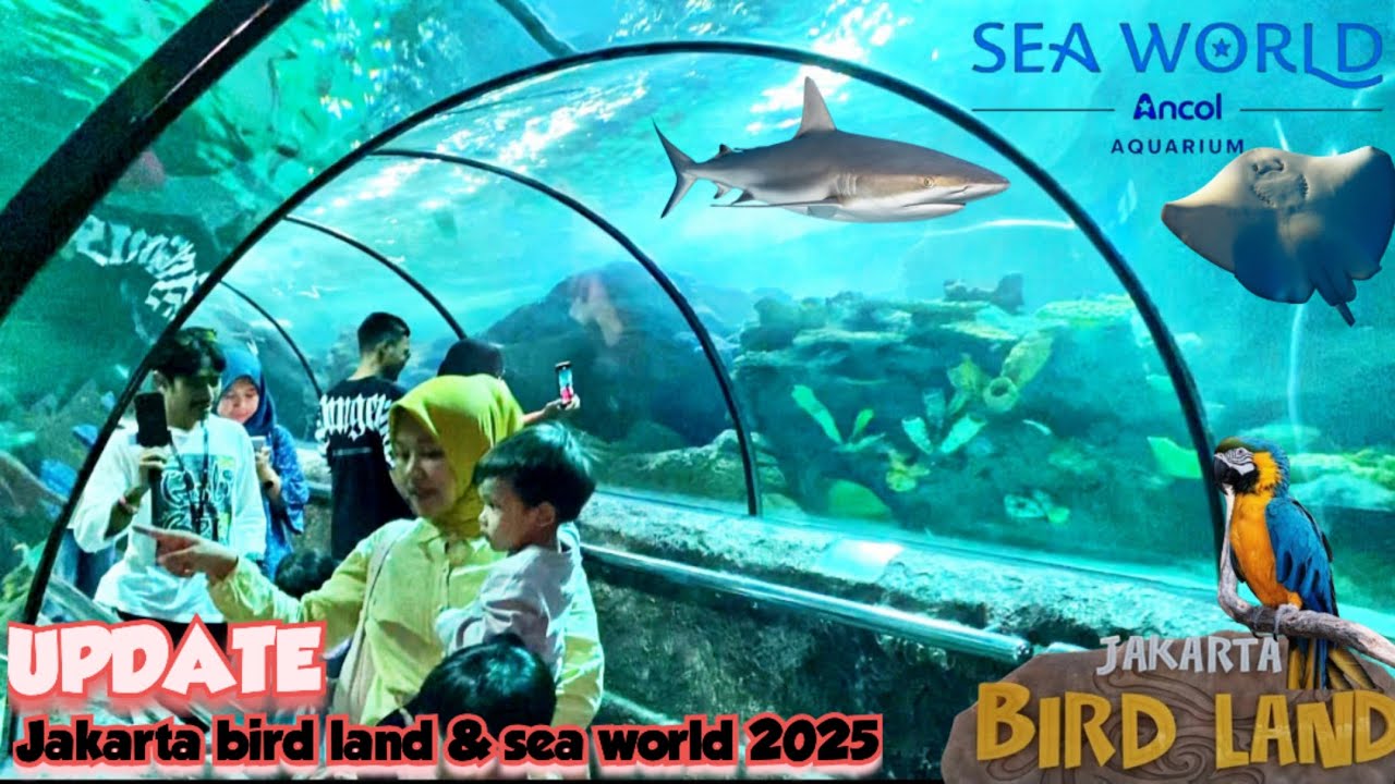 UPDATE TERBARU‼️ JAKARTA BIRD LAND || SEA WORLD ANCOL || REKOMENDASI WISATA EDUKATIF #travelvlog 