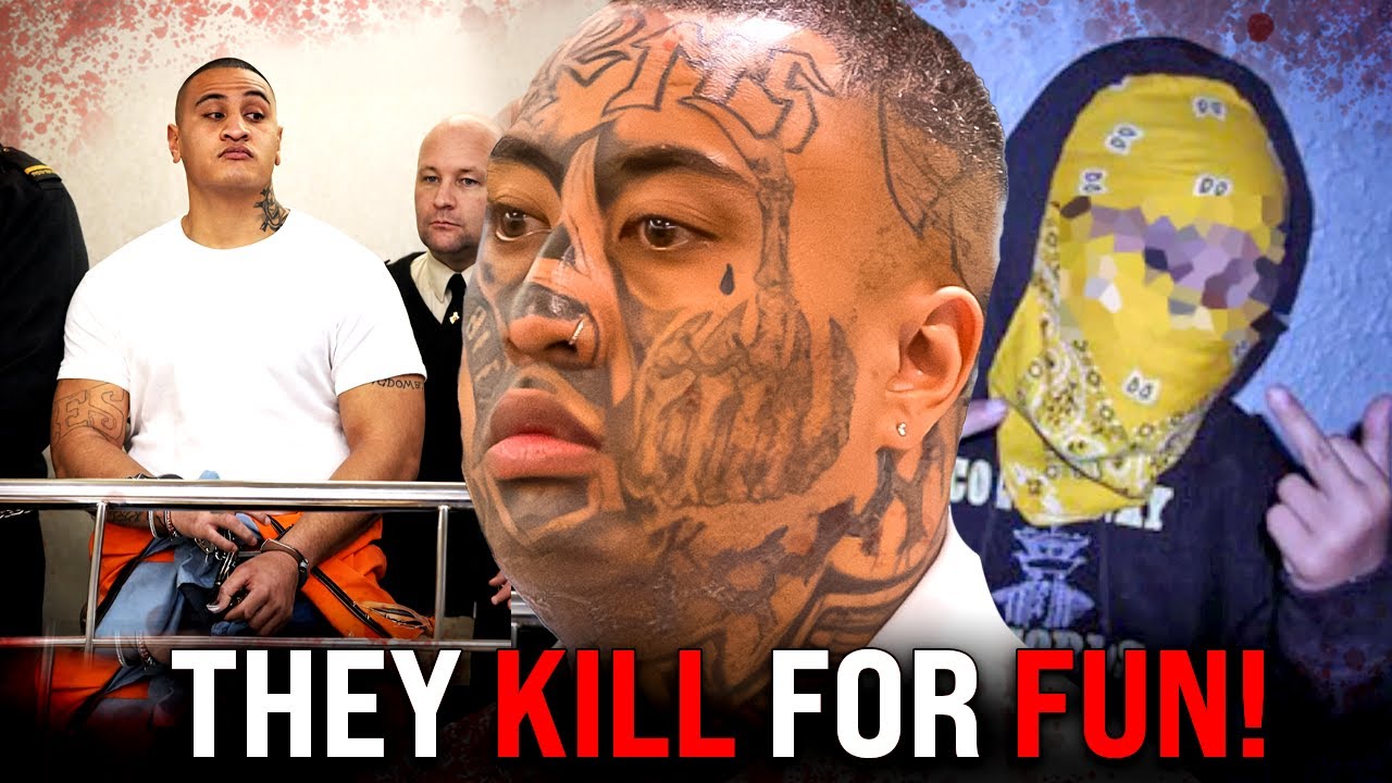 ПАЛЬЦЫ-ЧЕРЕПЫ ВВЕРХ: Взлет, падение и бесконечная война пчел-убийц.