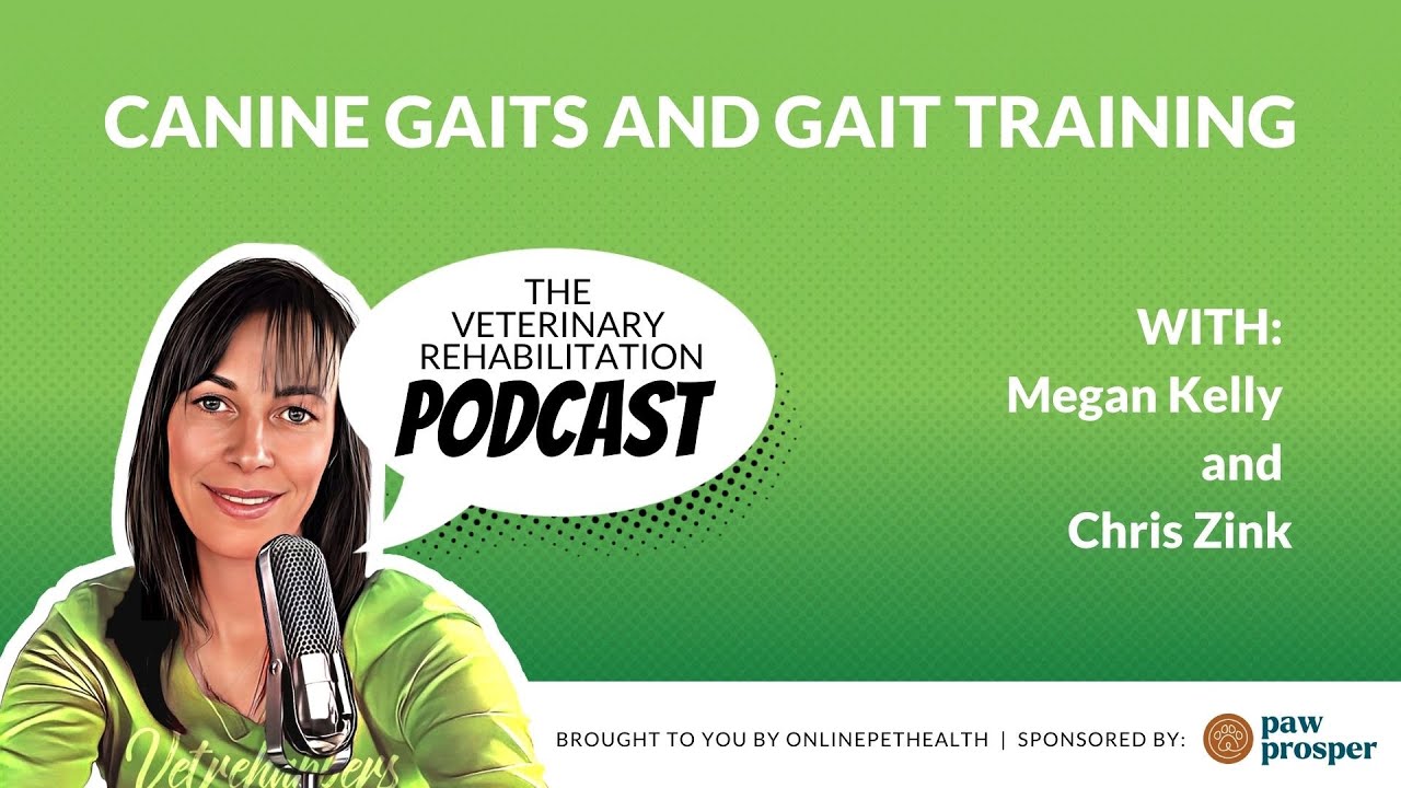 Canine Gaits and Gait Training with Chris Zink