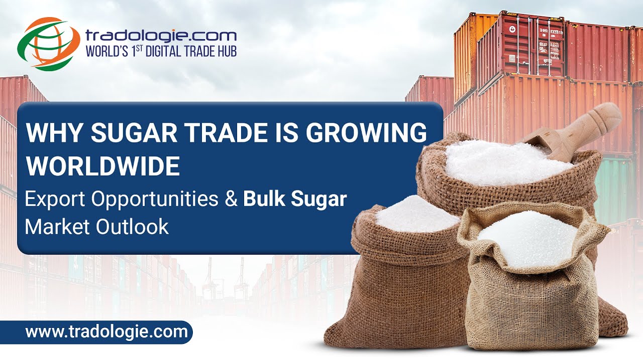 Global Sugar Trade Overview | Top Sugar Exporting Countries & Bulk Import Export Opportunities