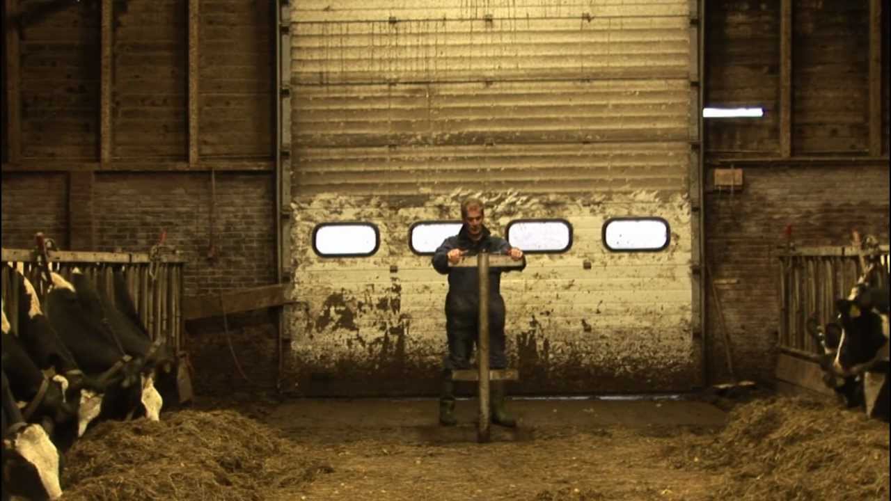 Een dag op de boerderij van boer Martin