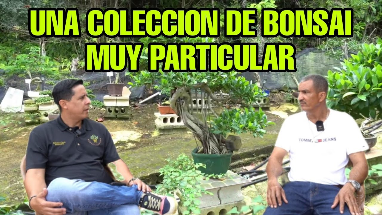 LOS ARTISTAS DEL BONSAI ,GARY Y AMAURY / UNA COLECCION DE BONSAIS MUY PARTICULAR