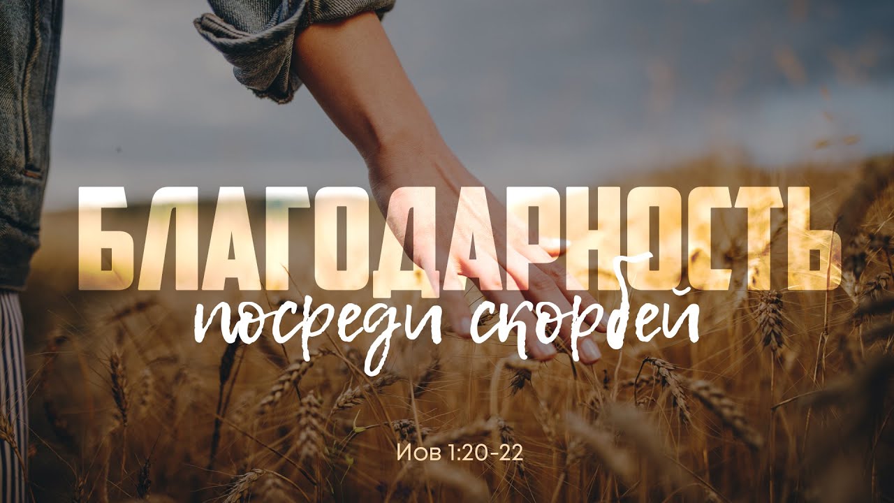 Благодарность посреди скорбей (Алексей Коломийцев)