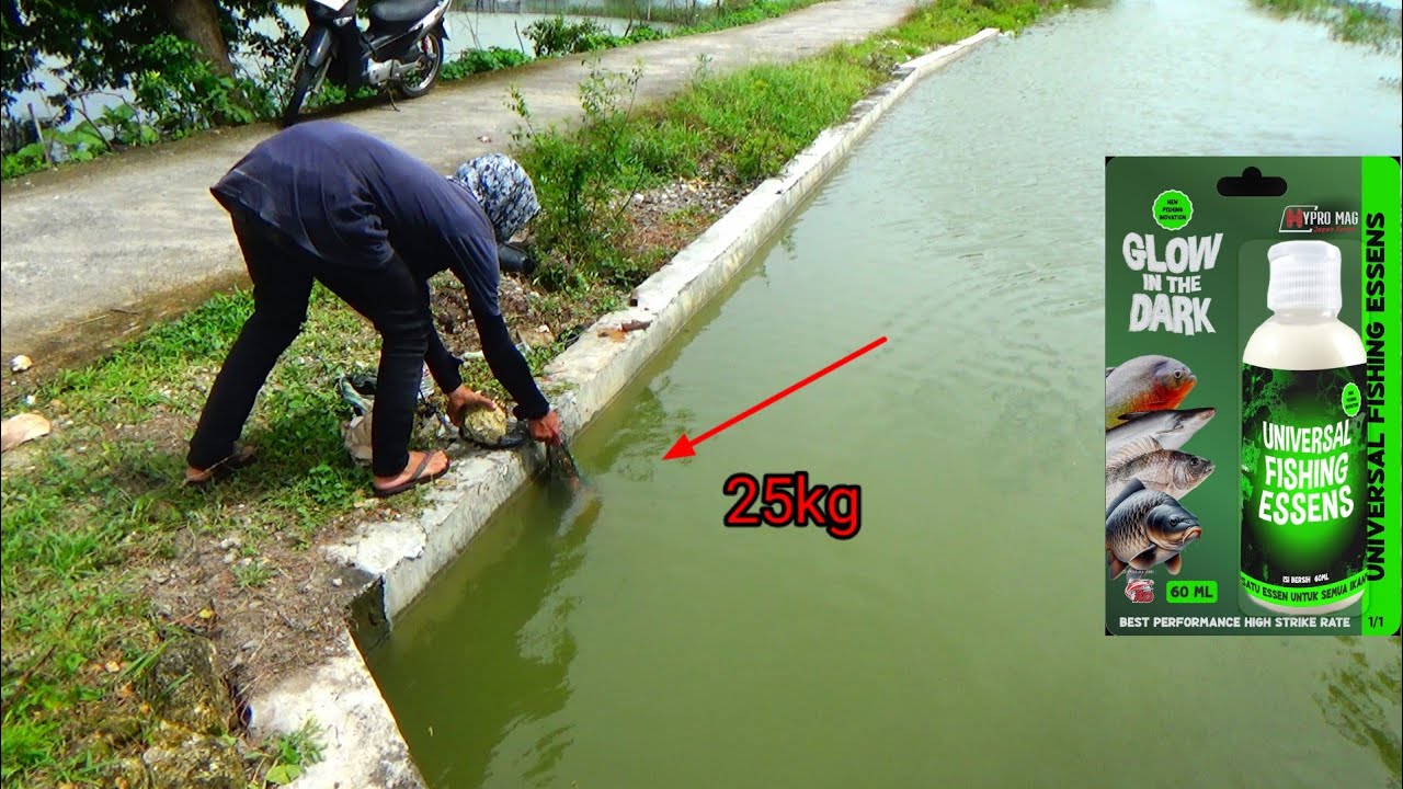 REZEKI...,, MANCING DISUNGAI TEBASAN BAYAR 25 RIBU DAPAT IKAN MAS SEBANYAK INI