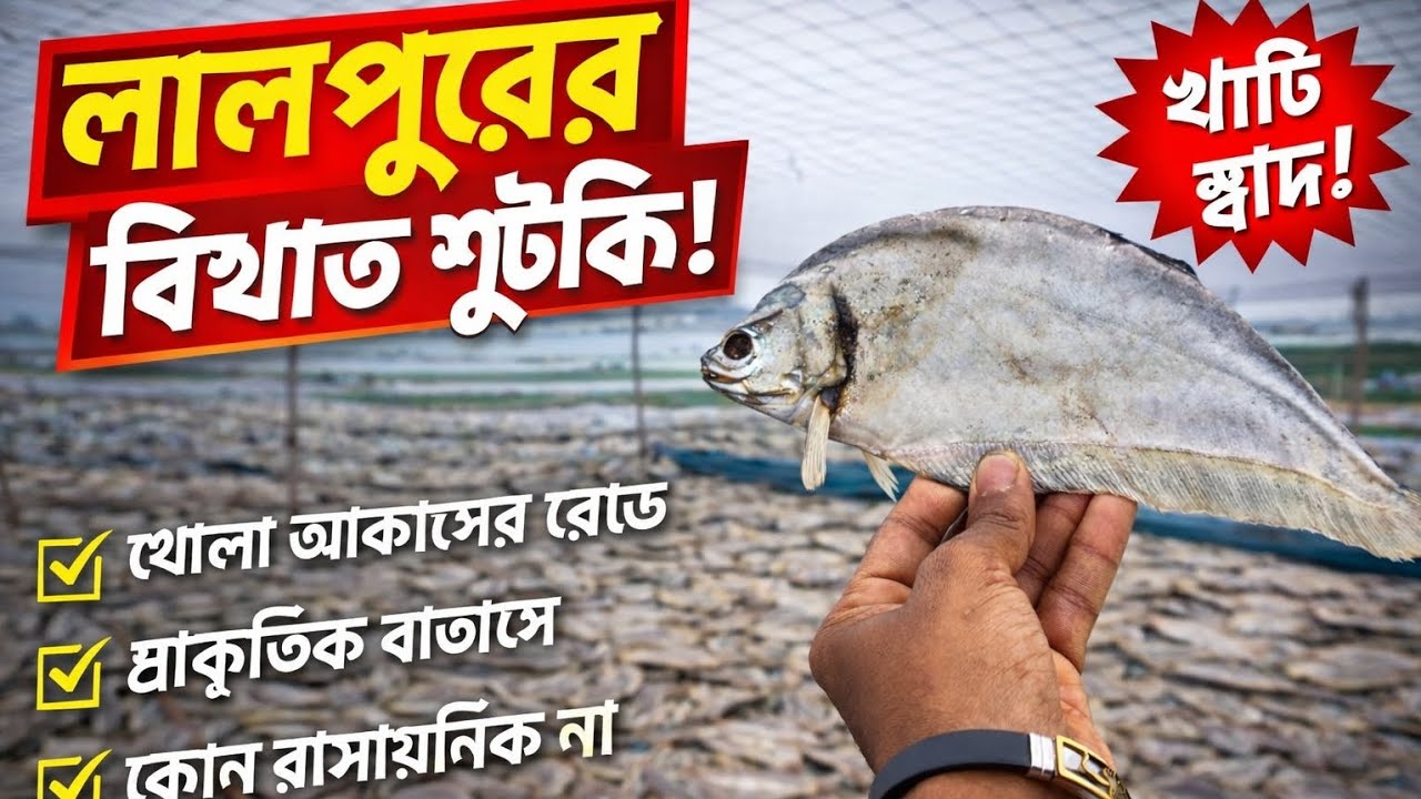 চলেন আজকে ঘুরে আসি লালপুরের বিখ্যাত শুটকির মাচা থেকে! 🐟☀️ #gmsabbir143 gmsabbir143
