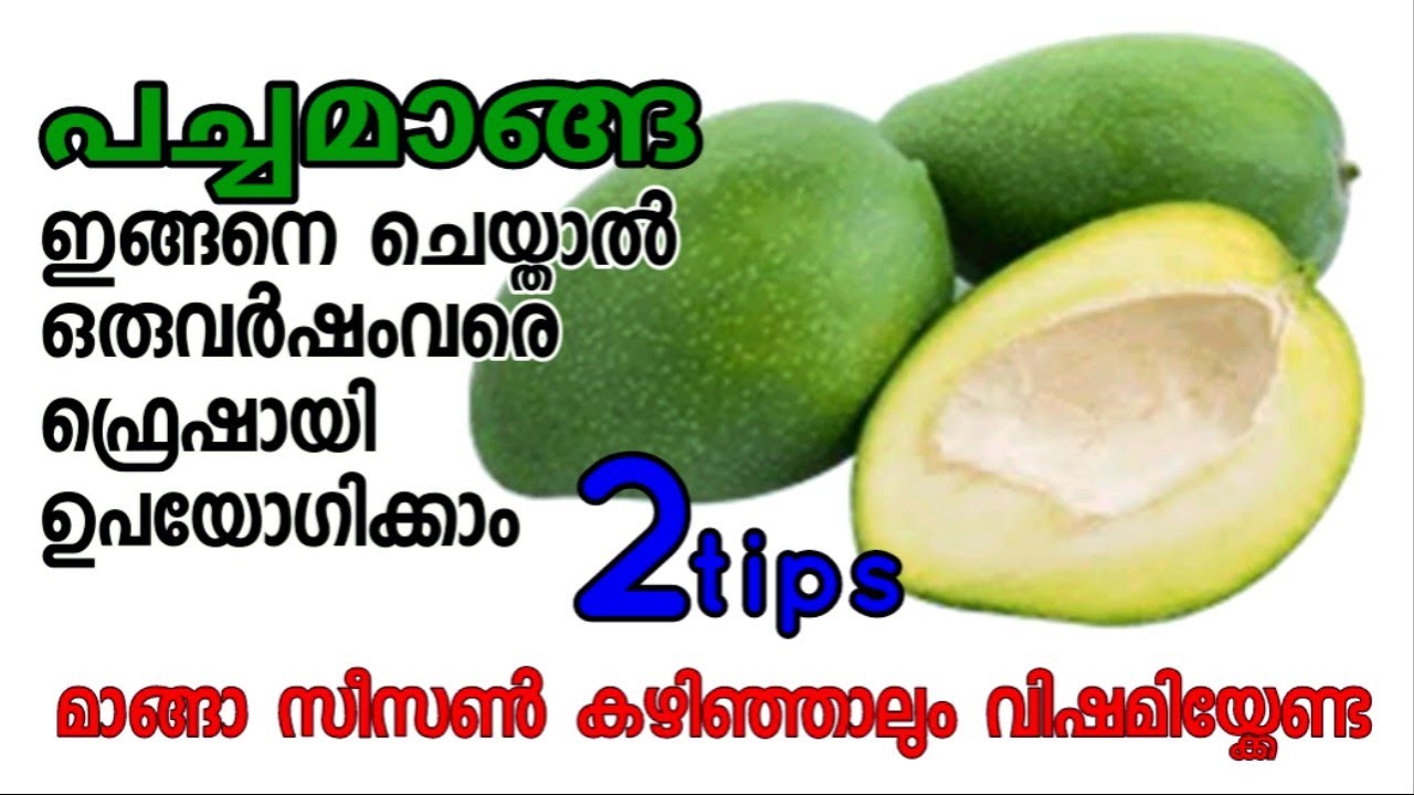 പച്ചമാങ്ങ ഒരു വർഷത്തോളം ഫ്രഷായി ഫ്രിഡ്ജിൽ സൂക്ഷിയ്ക്കാം | How to keep raw mango long time in fridge