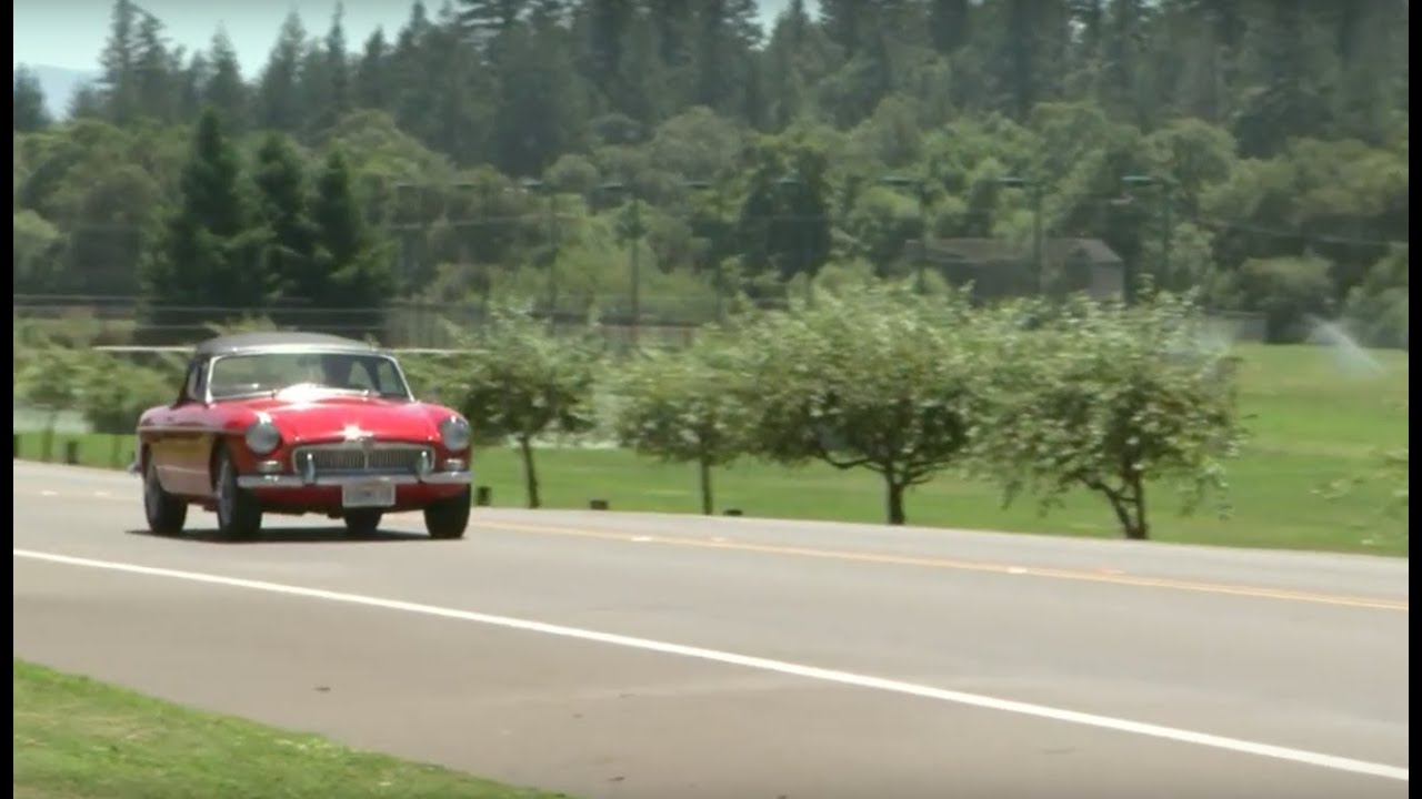 Eye On The Bay - Roadtrip from Napa To Angwin To Pope Valley To Lake Berryessa (phew!)