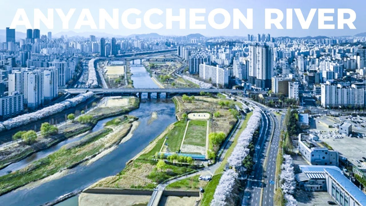 Winter Riverside Walk in Seoul - Relaxing Urban Nature