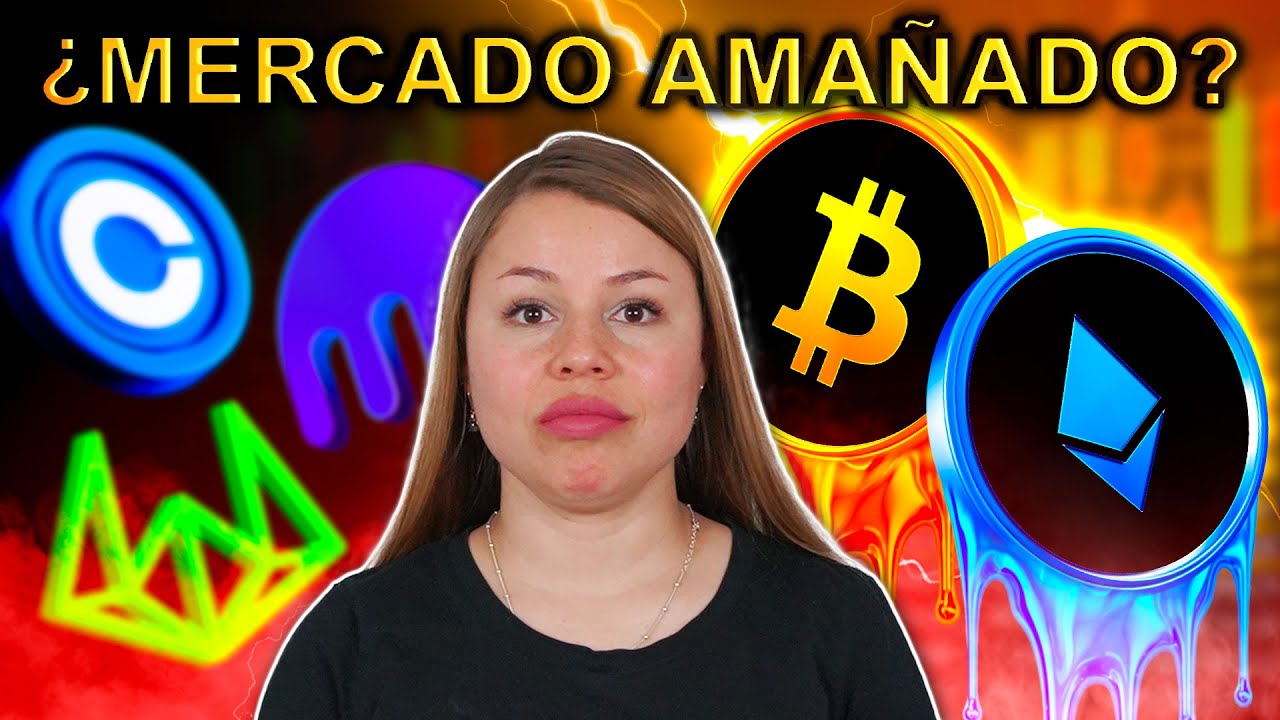 El mercado de las criptomonedas est&aacute; ama&ntilde;ado... &iexcl;Est&aacute;n jugando contigo!