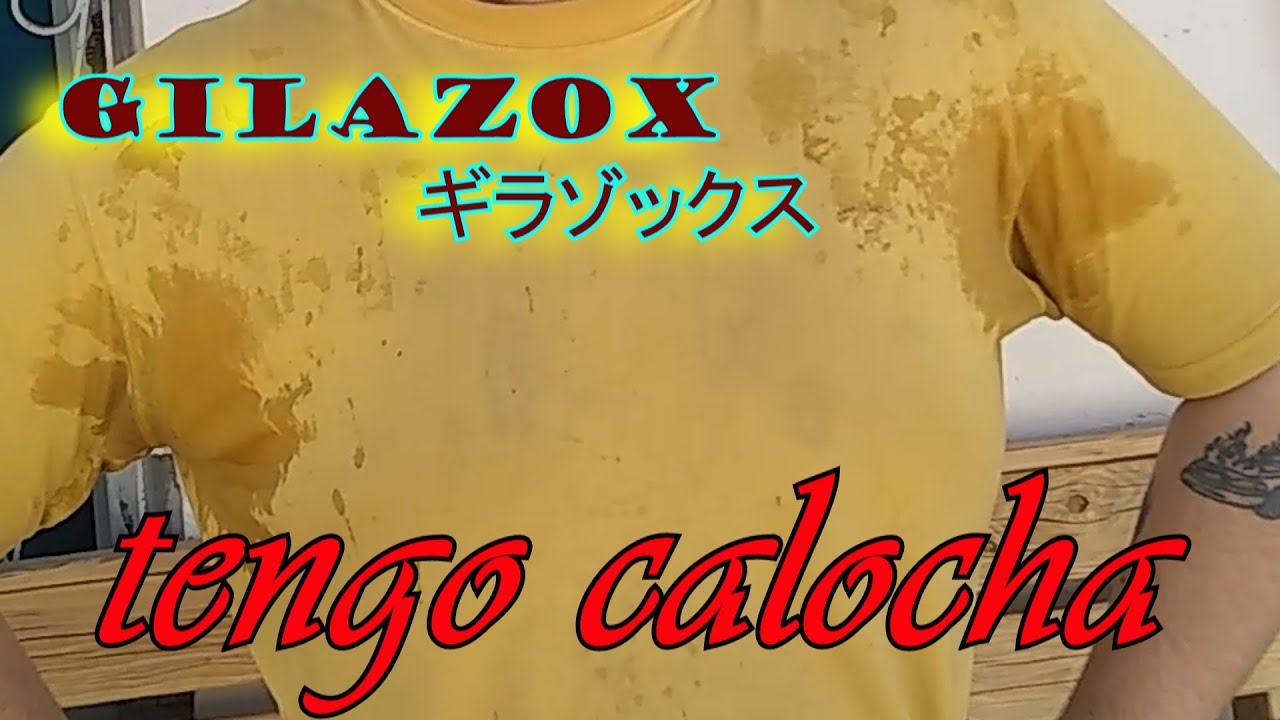 un dia normal en la vida de un otaku
