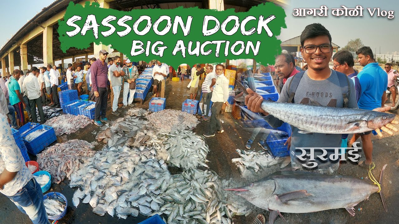 Sassoon Dock Big Auction | Mumbai Old Fishmarket | Colaba Mumbai | Aagri Koli Vlog