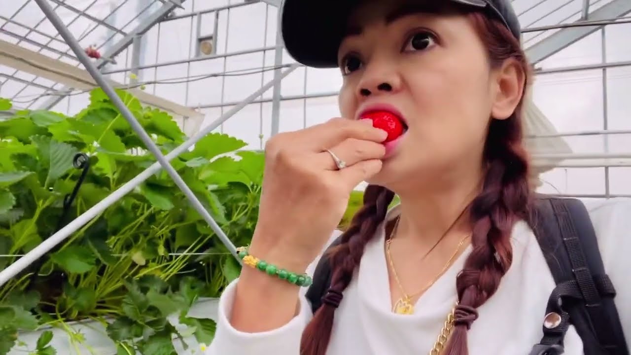 คลิปเข้าสวนสุดท้ายของปี#EP16#ปีหน้าเจอกันในสวนสตอเบอรี่🍓🍓อีกนะคะ