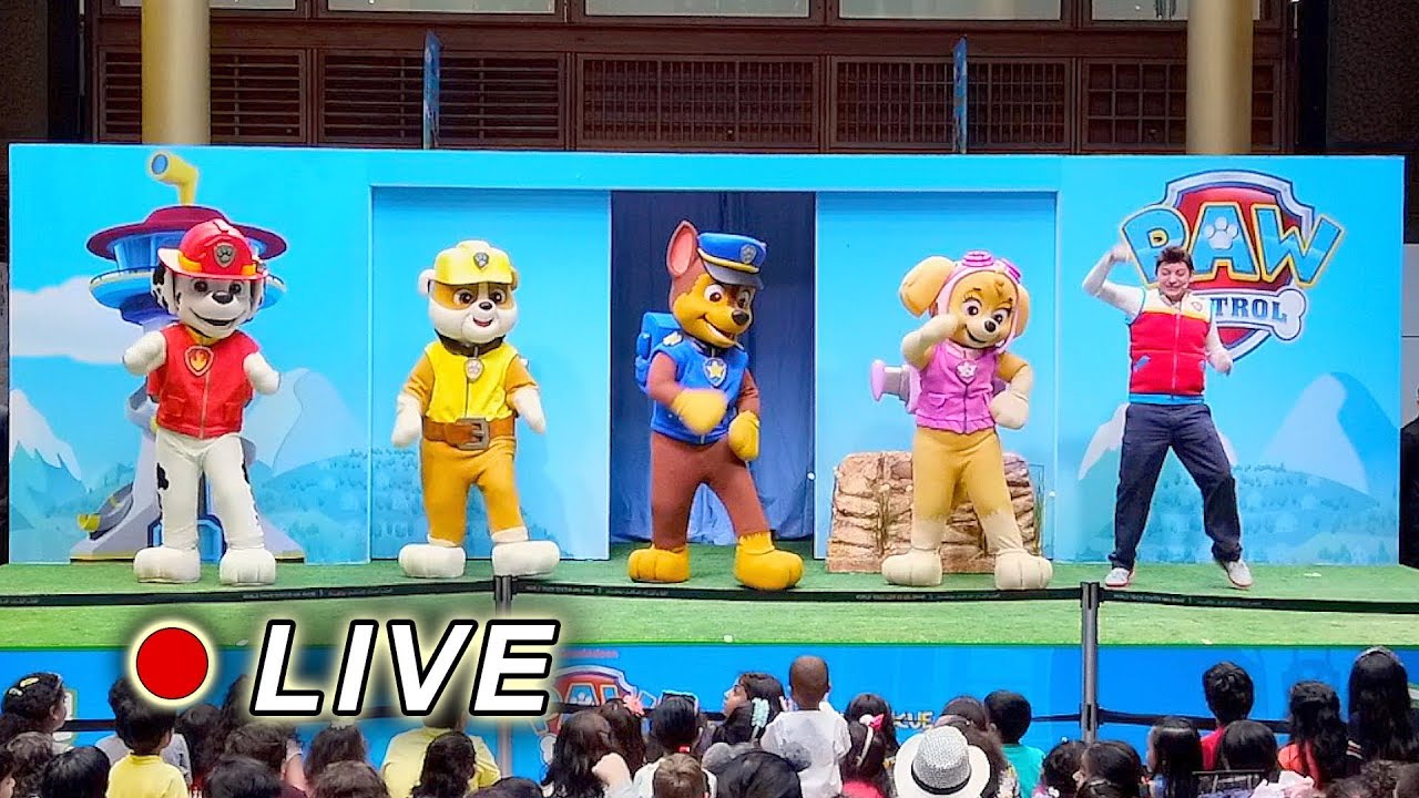 Patrulha Canina Show - Paw Patrol - Teatro Musical em Inglês Gravado Ao Vivo - 2019
