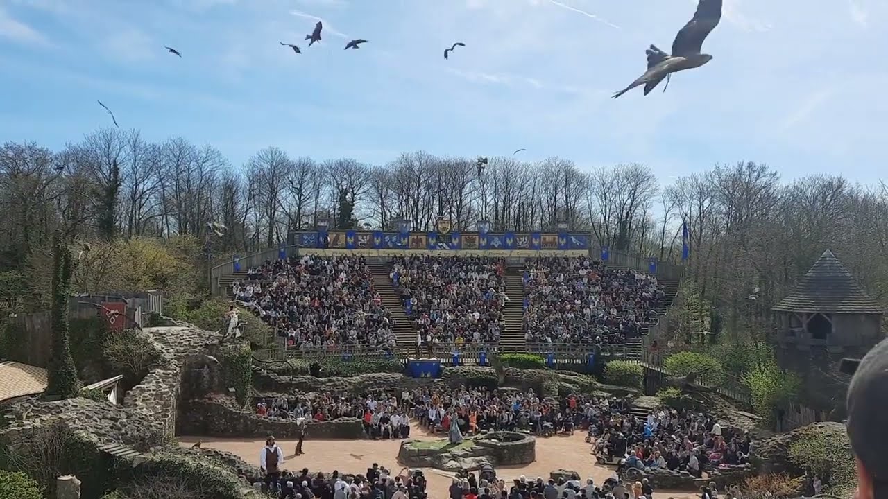 Le Bal Des Oiseaux Fantômes 2023 - Changement de Musique