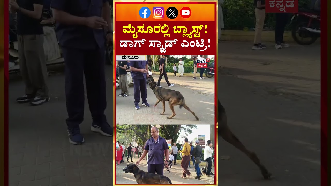 #shorts Cylinder Blast At Mysore Palace Near | ಮೈಸೂರು ಅರಮನೆಗೆ ಬಿಗಿ ಭದ್ರತೆ | N18S