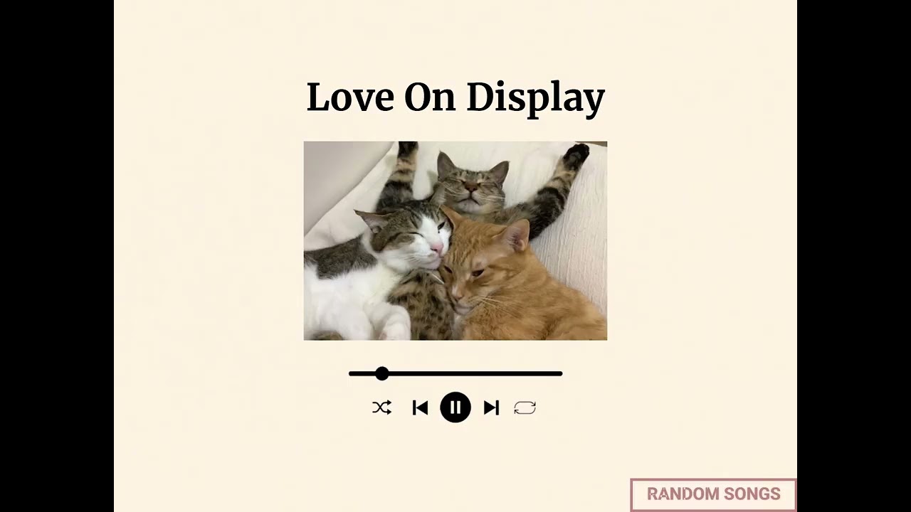 Love On Display