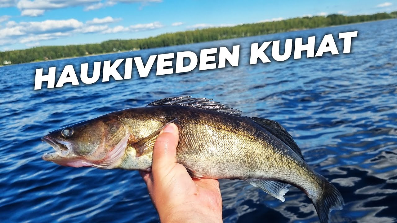 HAUKIVESI | KOLUTAAN UUSIA JIGIPAIKKOJA | KUHAN & AHVENEN JIGAUS | Finnish Fisherman