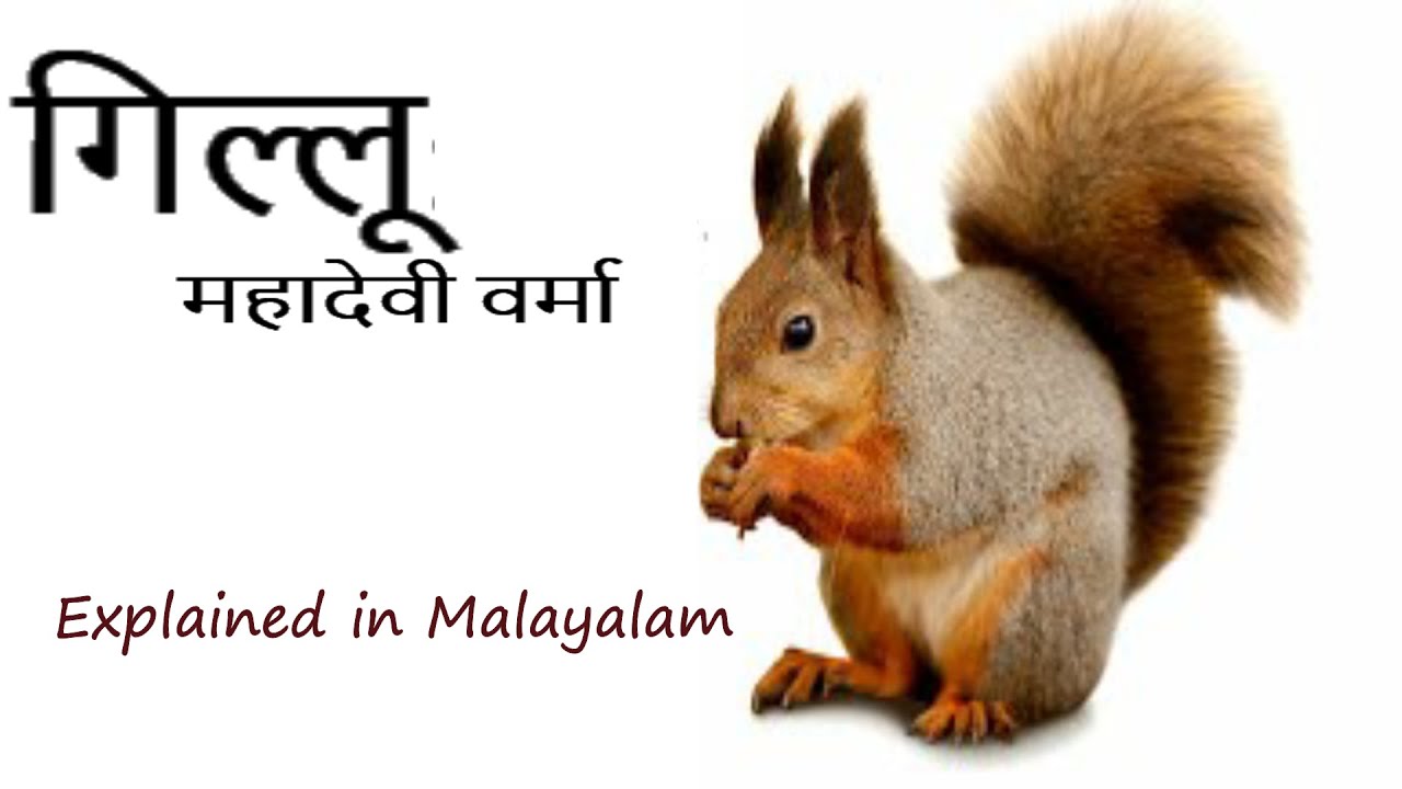 Gillu by Mahadevi verma-Explained in Malayalam-Dr Sophia Rajan