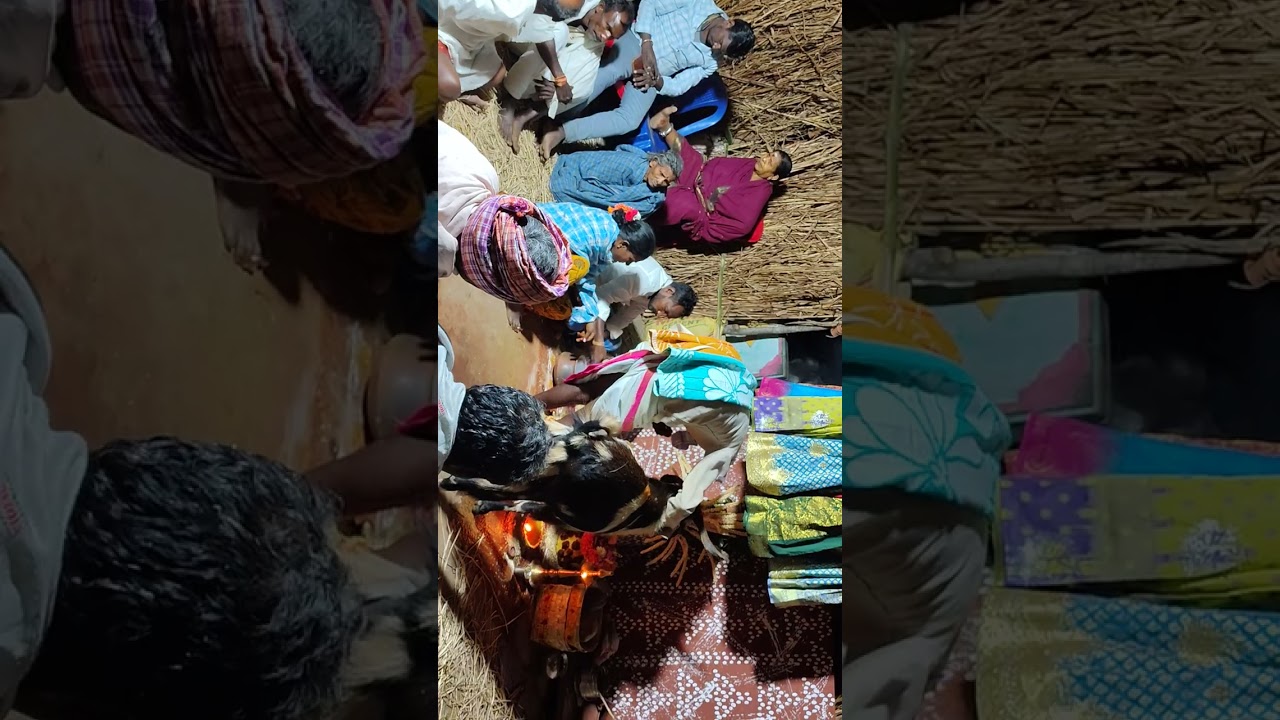 Korada bhusayya|golla chavau|7382432380|botta vari gava Tambaram