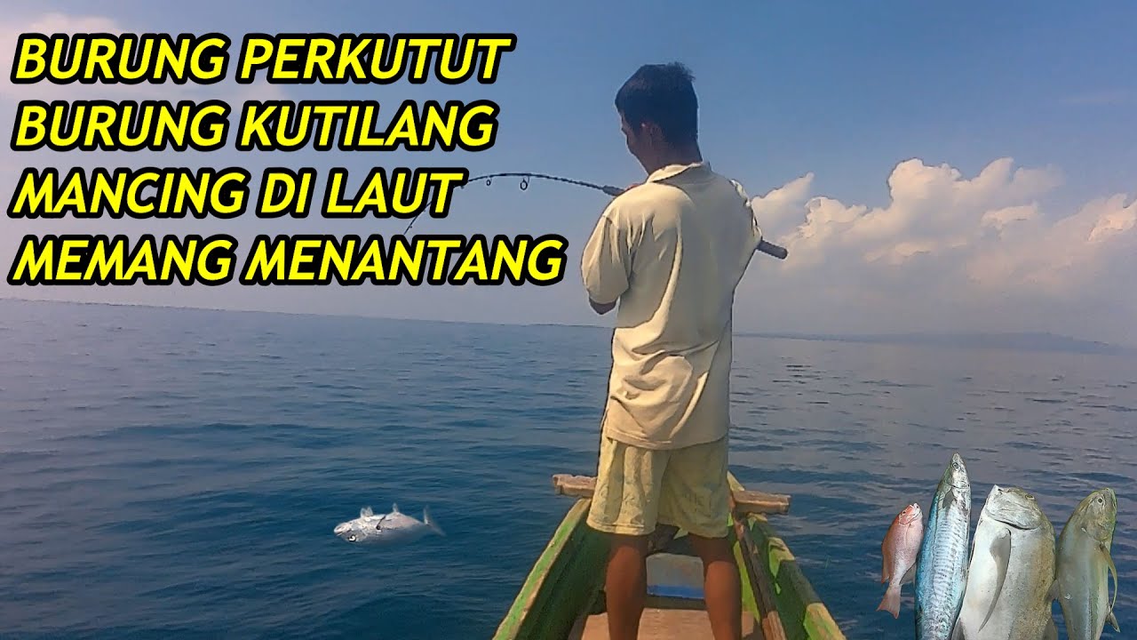 MANCING DI LAUT MEMANG SERU, IKANNYA BABON SEMUA || PANTAI TANJUNG LESUNG