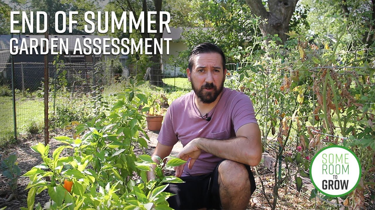 Garden Update - End of Summer 2018