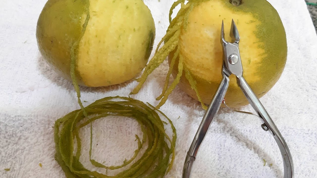 Como treinar cutilagem na laranja /CORTE CONTINUO / Susan Hergert
