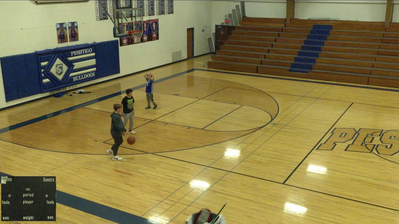 Peshtigo vs. Northeastern Wiscons Varsity Mens' Basketball