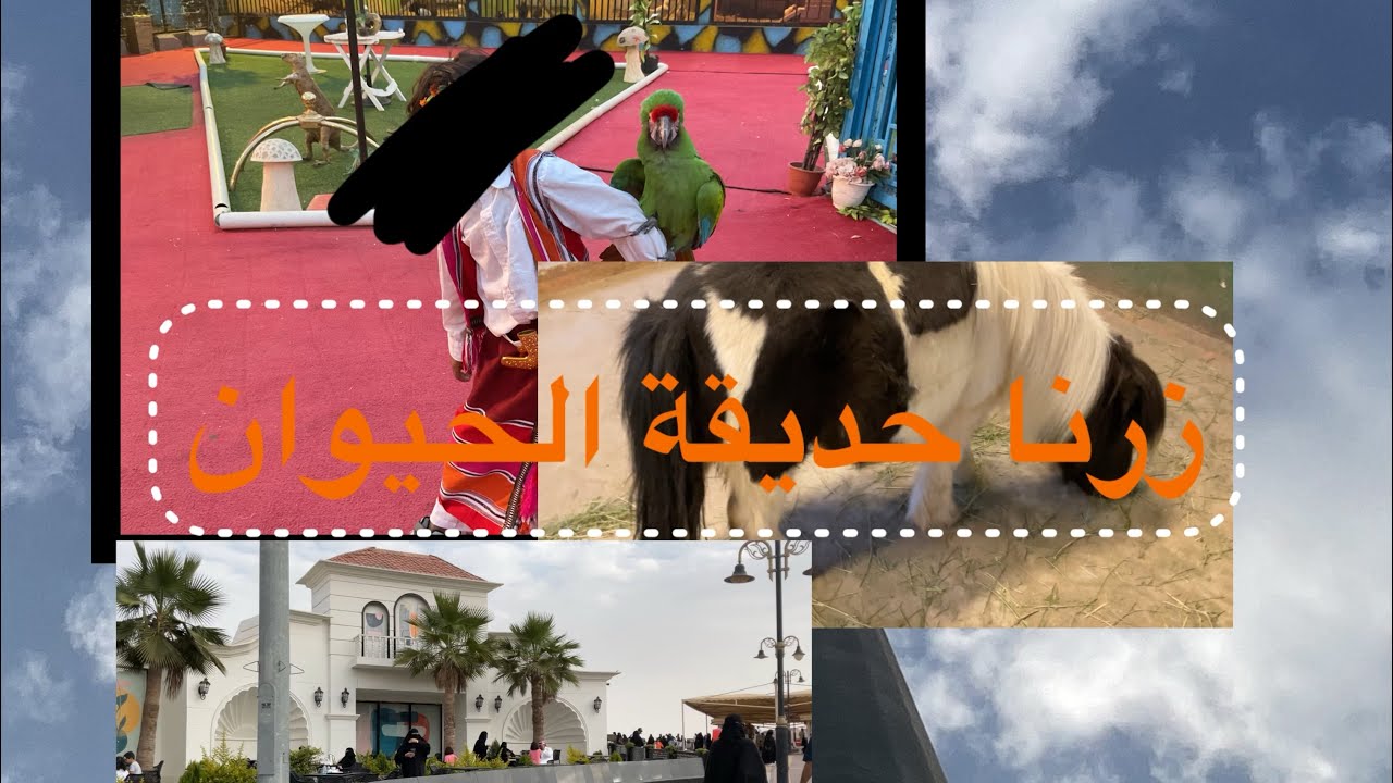 فلوق رجعتنا للديره🦦🏃‍♀️🏃‍♀️🏃‍♀️🏃‍♀️