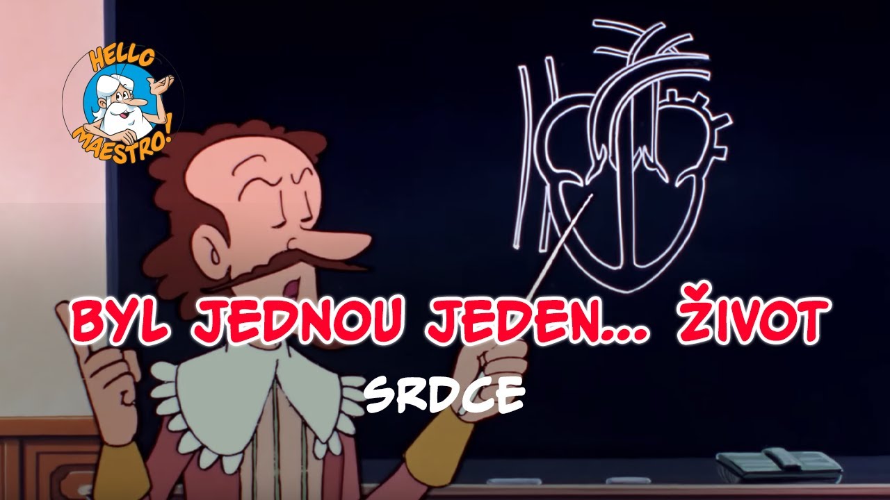 Byl jednou jeden zivot 🌱- Srdce ❤️