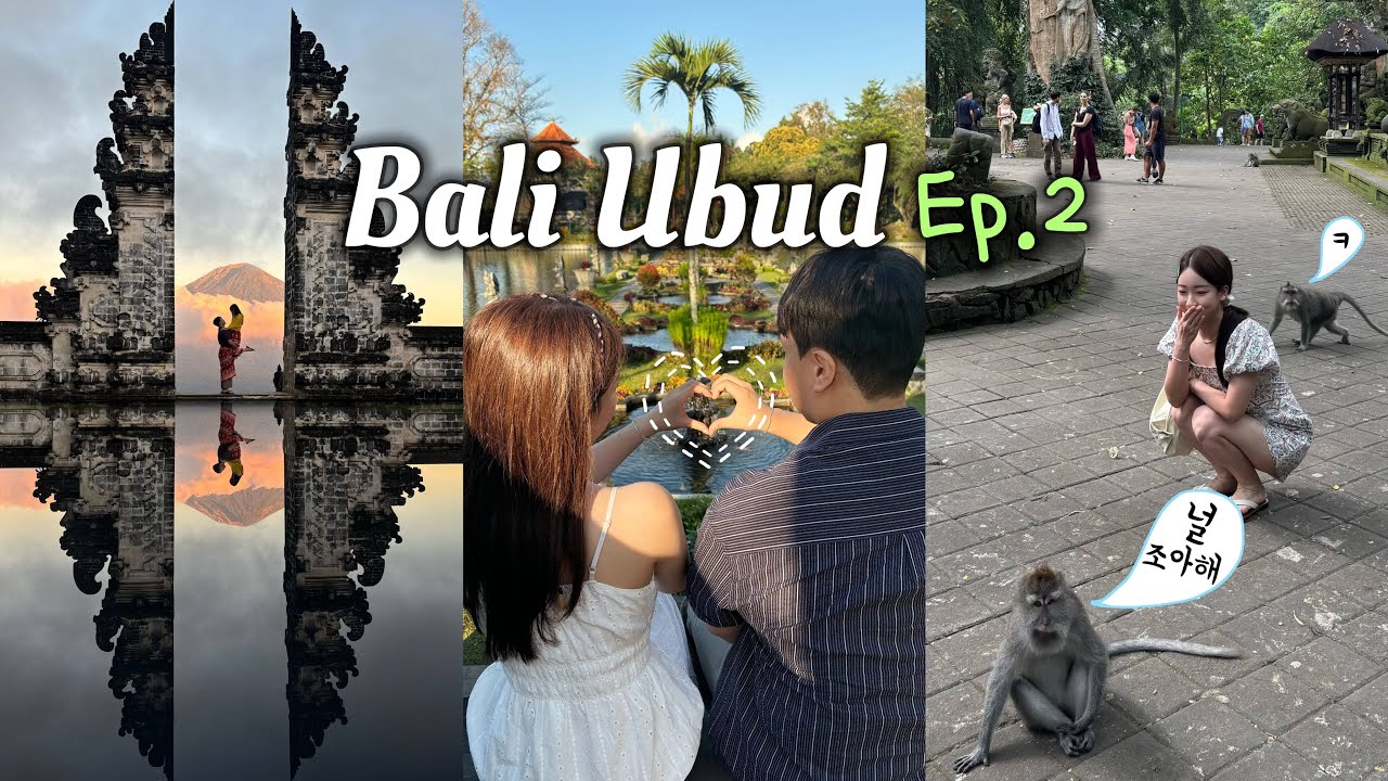 [발리Vlog] Ep.2 우붓 동부투어 to 원숭이숲🐒 성공맛집과 실패맛집?❤️‍🔥 and 더트랜스리조트 도착🎵