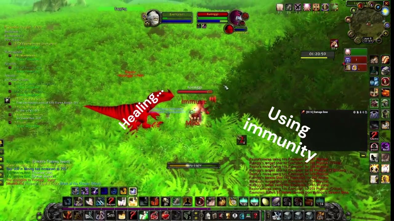 Fighting a Level 60 While Leveling… Paladin World PvP