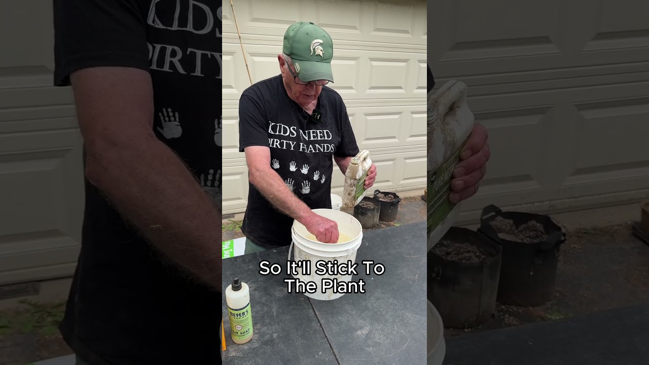 Organic Fungicide & Pesticide