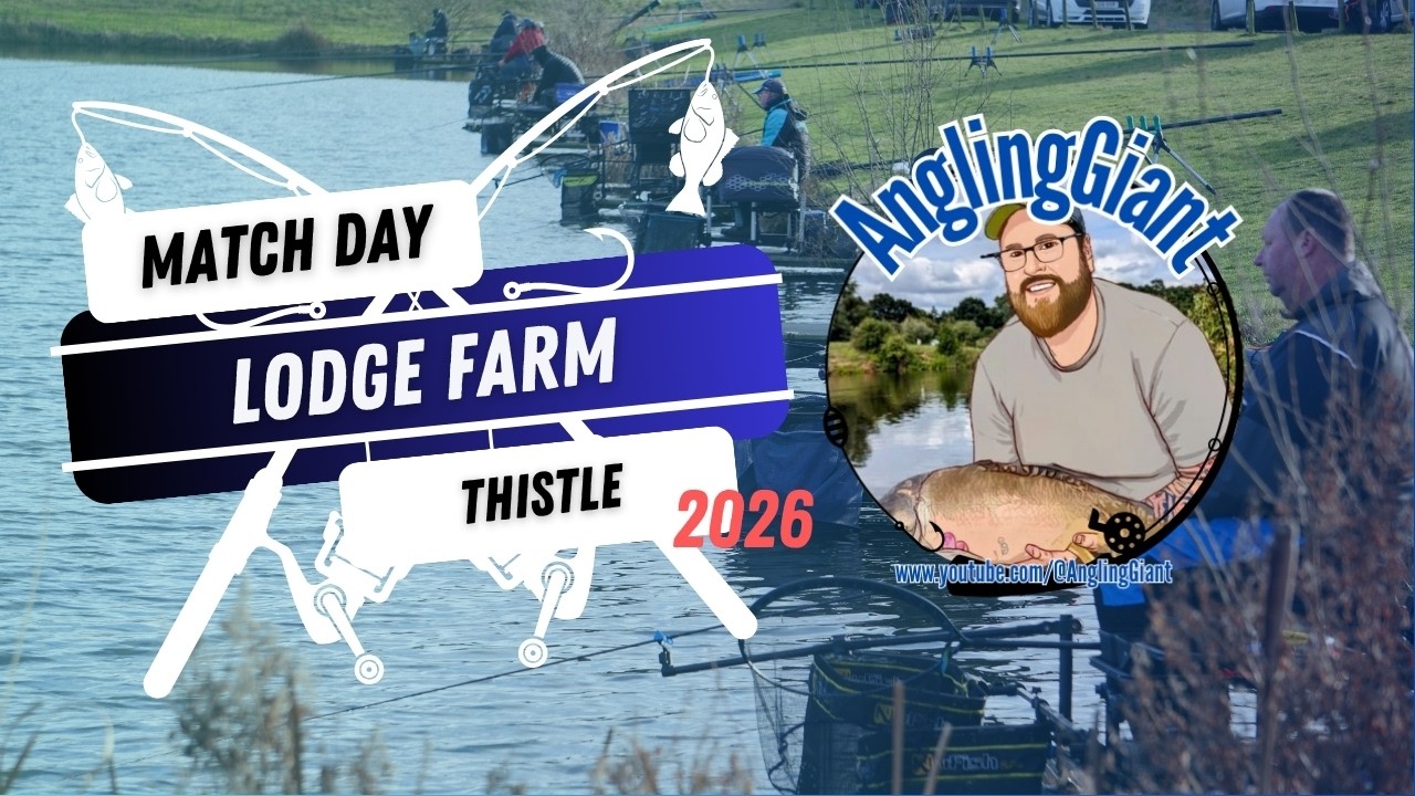 Live Match Fishing - Lodge Farm - Thistle
