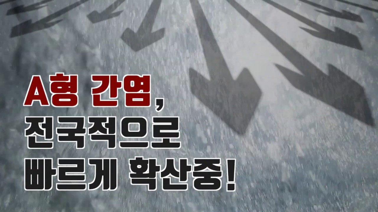 [건강정보] 빠르게 확산중인 A형간염! 전염 경로는 어떻게 되나요?-고려대학교 구로병원 감염내과