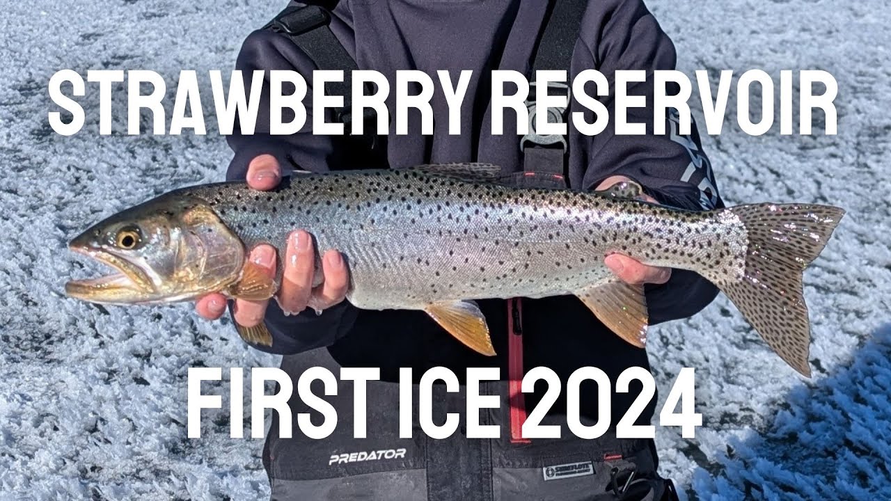 Ice Fishing Strawberry December 2024 - FIRST ICE Strawberry Reservoir!
